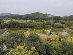 -石家庄市动物园