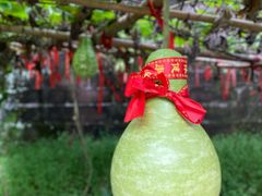 -金堂县云顶石城风景区