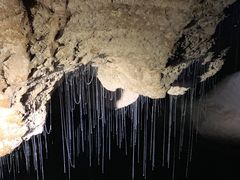 -怀托摩萤火虫洞