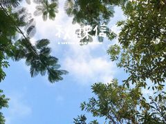 -松山湖南湖湾露营营地