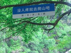 -石台牯牛降景区