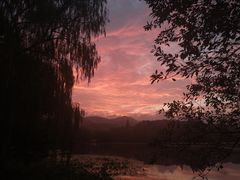 -西湖外事游船(花港观鱼码头)