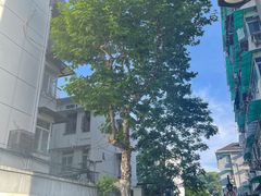 -鼓楼(西湖风景名胜区)