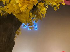 -老灶房-四川土菜(铁牛广场店)