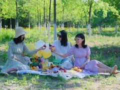 -永定河休闲森林公园