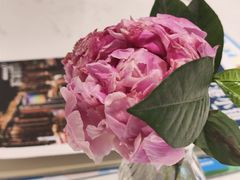 -鹿港小镇(金虹桥国际中心店)