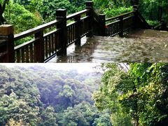 -天鹿湖森林公园