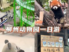 -柳州市动物园