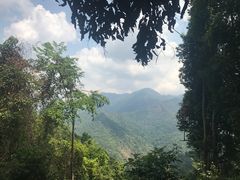 -清迈丛林飞跃 JungleFlight