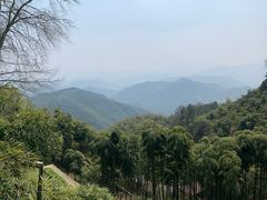 -莫干山风景区