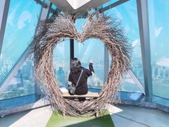 -WFC会仙楼观景台