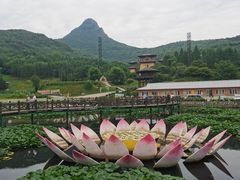 -帽儿山风景区