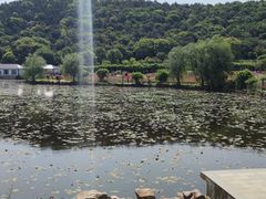 -龙寺生态园