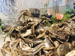 -瑞德姆美人鱼海底演艺主题餐厅(亚龙湾店)