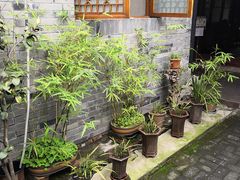 -恺庐茶园(宽窄巷子景区店)