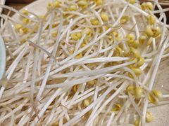 豆芽-肖肖酸萝卜鱼火锅(总店)