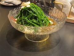 -蒙料·手把肉(望京店)