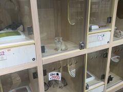 -爪爪喵星球·猫舍(卓悦中心店)