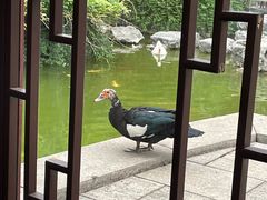 -祝家花園(伯渎港店)
