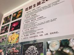 -江川野生菌火锅铜锅鱼(贵清火锅店)