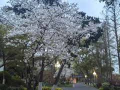 -浙江西子宾馆·牡丹厅