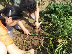 -乡乐园蟹庄·阳澄湖农家乐