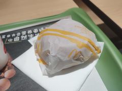 -麦当劳(庐山南路店)