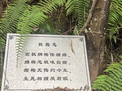 -梁野山景区