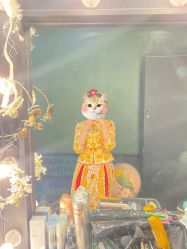 -金夫人婚纱摄影(衡阳店)
