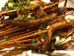 鳝鱼-晓靖轩烧烤(沙河风情店)