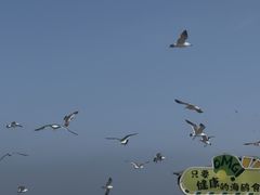-星海广场