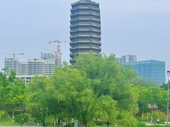 -西海子公园