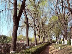 -西安汉城湖景区