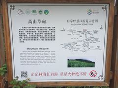 -白草畔自然风景区