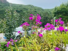 -白河湾山水缘民宿