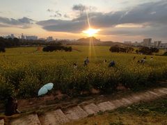 -光明小镇欢乐田园