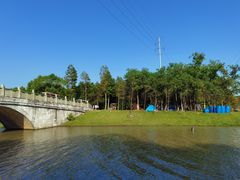 -上海海湾国家森林公园