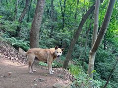 -惠山国家森林公园