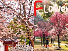 -堤角公园