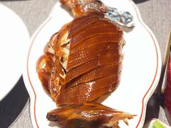 -秀儿四九城·新京菜(亚运村鸟巢店)