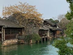 -乌镇景区