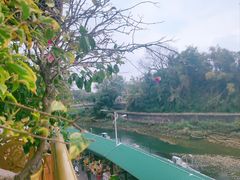 -东兴口岸-中越友谊大桥