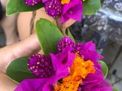 -遇龙河大樟树农家乐