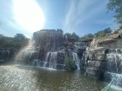 -北京西山国家森林公园