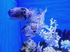 -多彩贵州城极地海洋世界