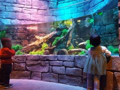 -沈阳海洋探索中心