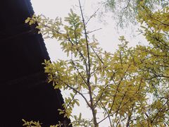-绮园景区