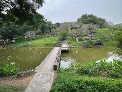 -番禺大夫山森林公园