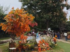 -HERRE·FARM 赫尔露营农场·团建聚会包场