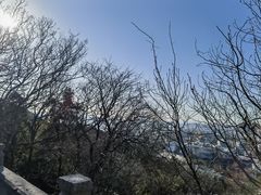 -云龙山